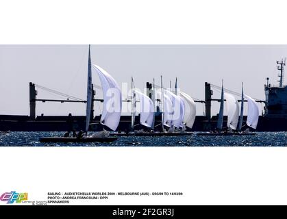 SAILING - AUDI ETCHELLS WORLDS 2009 - MELBOURNE (AUS) - 03/09/14 TO 20/03/09 PHOTO : ANDREA FRANCOLINI / DPPI SPINNAKERS Foto Stock