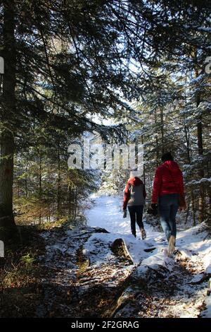 2 giovani donne, escursione a Finzbachklamm vicino Krün, Europa, Germania, Baviera, alta Baviera, Werdenfelser terreno, inverno, foresta Foto Stock