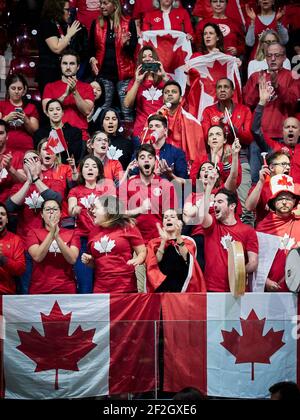 Australia vs Canada, tifosi del Canada durante la Coppa Davis 2019, Tennis Madrid Finals 2019 il 21 novembre 2019 a Caja Magica a Madrid, Spagna - Foto Arturo Baldasano / DPPI Foto Stock