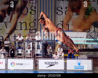 Illustrazione durante il Gran Premio di Fina Diving Madrid 2020 il 15 febbraio 2020 al Centro de Natacion M'86 a Madrid, Spagna - Foto Arturo Baldasano / DPPI Foto Stock