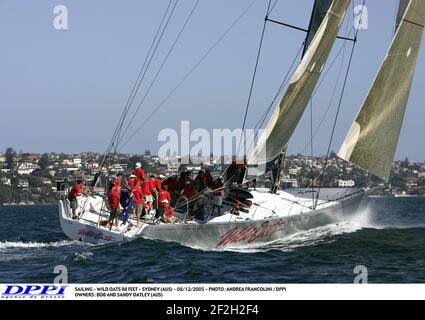 VELA - AVENA SELVAGGIA 98 PIEDI - SYDNEY (AUS) - 08/12/2005 - FOTO : ANDREA FRANCOLINI / DPPI PROPRIETARI : BOB E SANDY OATLEY (AUS) Foto Stock