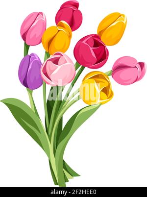 Bouquet vettoriale di fiori di tulipano rossi, rosa, arancioni, gialli e viola isolati su sfondo bianco. Illustrazione Vettoriale