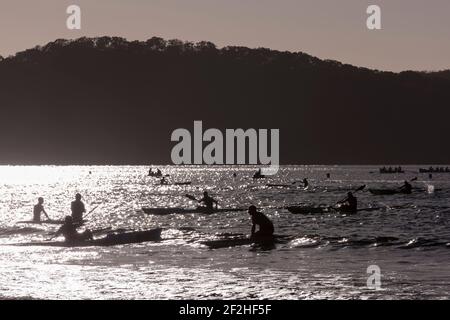 SALVATAGGIO DELLA VITA DI SURF - ALLPHONES NUOVI PADRONI DELLE BALENE DEL SUD E. APRE IL CAMPIONATO DI SALVATAGGIO DELLA VITA DA SURF 2013 - UMINA BEACH (NSW-AUS) - DAL 6 AL 10/03/2013 - FOTO ANDREA FRANCOLINI / DPPI MEDIA Foto Stock