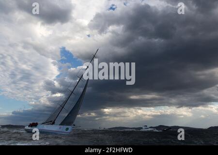 WILD OATS XI, di proprietà di Bob Oatley e scuppato da Mark Richards, Line Honor vincitore del Rolex Sydney 2013 a Hobart, arrivo al Cruising Yacht Club of Australia, Hobart in Tasmania, 28 dicembre 2013. Foto Andrea Francolini / DPPI Foto Stock