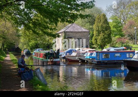 Canal boats sul Monboccuthshire e Brecon Canal a Govilon Wharf, vicino Abergavenny, Monboccuthshire, Galles, Regno Unito Foto Stock