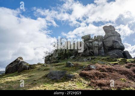 Robin Hood's Stride pietra calcarea Way formazione nel Derbyshire Dales, Peak District National Park. Foto Stock