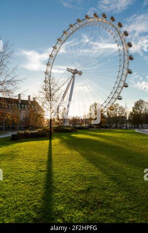 Il London Eye al tramonto visto da Jubilee Park and Garden, South Bank, Londra Foto Stock