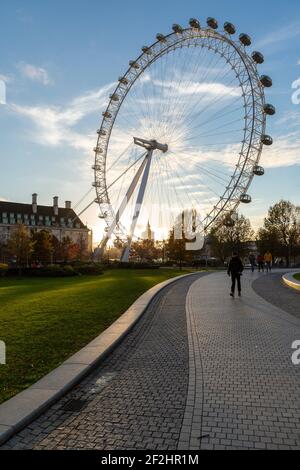 Il London Eye al tramonto visto da un sentiero nel Jubilee Park and Garden, South Bank, Londra Foto Stock