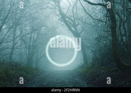 Un concetto di fantasia. Di un portale luminoso in una foresta spooky. In un giorno di inverni nebbioso Foto Stock