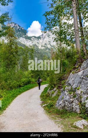 Film escursionistici con la piccola macchina fotografica sul percorso forestale intorno al Hintersee, Ramsau, Berchtesgaden, Alpi Berchtesgaden, Parco Nazionale Berchtesgaden, Berchtesgadener Land, alta Baviera, Baviera, Germania, Europa Foto Stock