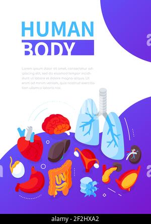 Corpo umano - banner Web isometrico moderno e colorato con spazio di copia per il testo. Assistenza sanitaria e anatomia. Illustrazione con organi interni, un cuore, polmoni, Illustrazione Vettoriale