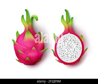 Vettore intero e affettato vivace frutta di drago rosa isolato su sfondo bianco Illustrazione Vettoriale