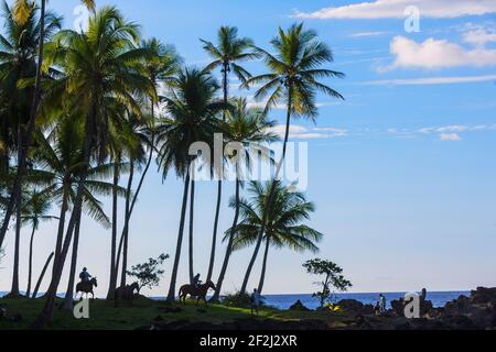 Equitazione sulla spiaggia, Drake Bay, Parco Nazionale del Corcovado, Penisola dell'Osa, Costa Rica Foto Stock