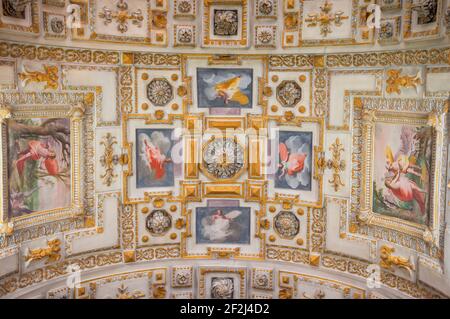 Affreschi del soffitto, Palazzo Tobia Pallavicino, Genova, Liguria, Italia, Europa, Foto Stock