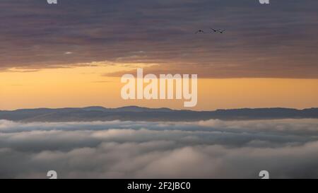 Alba nel Siebengebirge vicino Koenigswinter sul Reno. Foto Stock