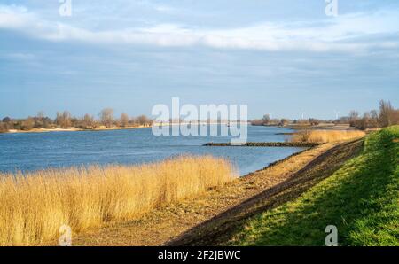 Vista sul fiume Lek nei Paesi Bassi Foto Stock
