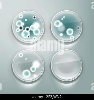 Capsula di Petri vettoriale con muffe, colonie batteriche vista dall'alto isolata sullo sfondo Illustrazione Vettoriale