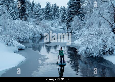 Donna paddleboarding sul fiume tra alberi innevati durante la vacanza Foto Stock