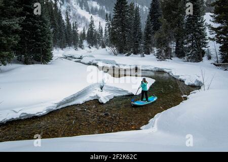 Donna che fa levarsi in piedi su paddleboarding sul fiume fra neve coperta campo Foto Stock