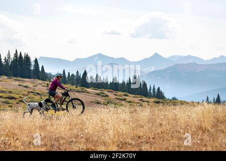 Vista laterale della giovane donna in bicicletta con il cane sul campo contro il cielo durante le vacanze Foto Stock