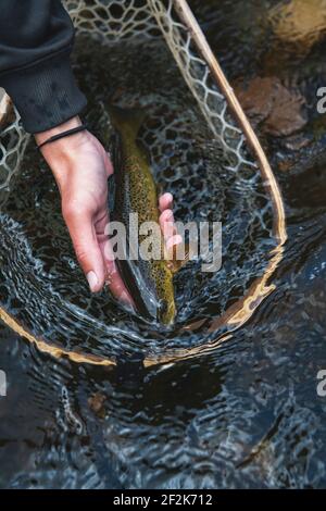 Primo piano di donna con pesce pescato in rete al fiume in foresta Foto Stock