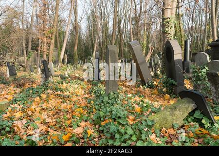 Berlino, cimitero ebraico Berlino Weissensee, lapidi inclinabili Foto Stock