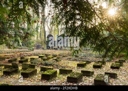 Berlino, cimitero ebraico Berlino Weissensee, umore autunnale, urna campo Foto Stock