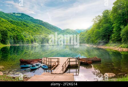 Barche sul lago Biogradska nel Parco Nazionale Biogradska Gora. Montenegro Foto Stock