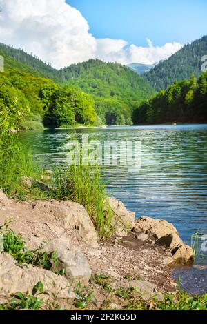 Lago Biogradsko nel parco nazionale Biogradska Gora Montenegro Foto Stock