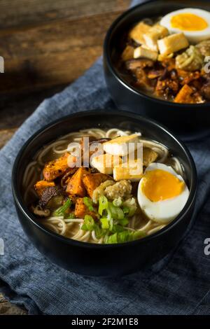 Ramen vegetariano sano fatto in casa con tofu e uovo Foto Stock