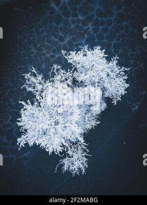 Germania, Sassonia, paesaggio invernale nei pressi di Chemnitz Foto Stock