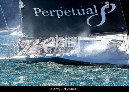 Perpetual Loyal (Anthony Bell NSW) all'inizio della famosa regata velica Sydney (AUS) a Hobart (TAS), a Sydney, Australia, il 26 dicembre 2016 - Foto Christophe Favreau / DPPI Foto Stock