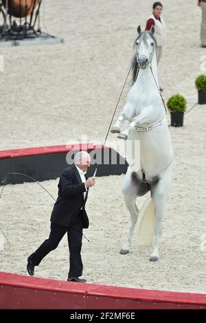 Il circo di Alexis Gruss durante lo spettacolo di Saut Hermes che salta all'interno del Grand-Palais di Parigi, Francia, dal 10 al 12 aprile 2015 - Foto Christophe Bricot / DPPI Foto Stock