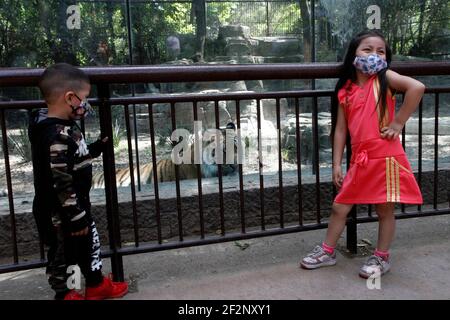 Città del Messico, Messico. 11 Marzo 2021. CITTÀ DEL MESSICO, MESSICO - MARZO 11: Turisti durante un tour allo Zoo di Chapultepec prendendo protocolli di sicurezza durante la riapertura con il semaforo epidemiologico arancione, lo Zoo riceve i suoi visitatori applicando misure sanitarie nei loro accessi e un controllo dell'ingresso di persone per conoscere i diversi animali che risiedono nel luogo. Il 11 marzo 2021 a Città del Messico, Messico (Foto di Eyepix/Sipa USA) Credit: Sipa USA/Alamy Live News Foto Stock