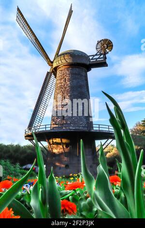 Mulino olandese nel Golden Gate Park di San Francisco Foto Stock