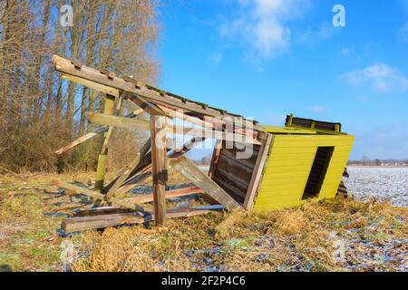 Sedile alto in inverno che è stato abbattuto da una tempesta, Assia, Germania Foto Stock