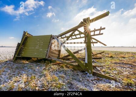 Sedile alto in inverno che è stato abbattuto da una tempesta, Assia, Germania Foto Stock