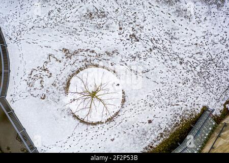 Paesaggio di neve, albero singolo, tracce nella neve, astratto Foto Stock