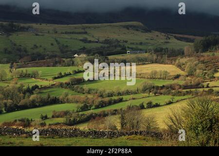 Paesaggio a Calry, contea di Sligo, Irlanda, con colline di campi verdi terreni agricoli delimitati da alberi e pareti in pietra sotto il cielo sovrastato Foto Stock