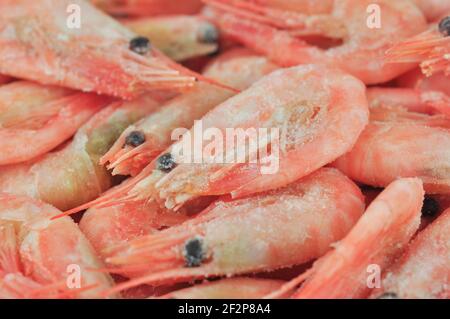 Gamberetti bolliti congelati. Scatto macro. Astratto cibo di fondo. Foto Stock
