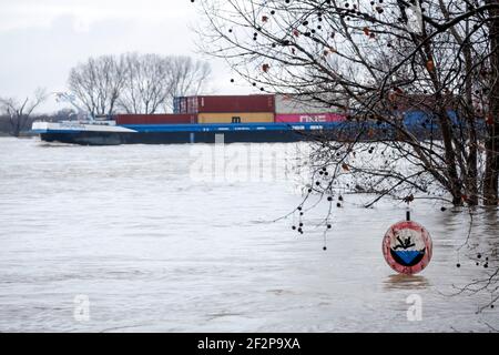 Duisburg, Renania Settentrionale-Vestfalia, Germania - alluvioni sul Reno, gli alberi sulla diga nel distretto di Marxloh sono sotto l'acqua, la navigazione sul Reno non è ancora fermata, i battitori sono autorizzati a viaggiare sul Reno. Foto Stock