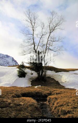 Winterstimmung bei Mittenwald, Deutschland, Bayern, Oberbayern, Isartal, Foto Stock