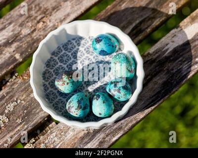 Erbringung und Verkauf von Frühlingsblumen Foto Stock