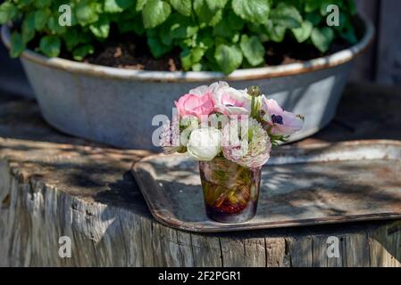 Erbringung und Verkauf von Frühlingsblumen Foto Stock