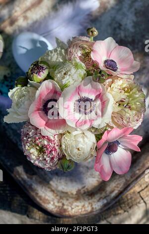 Erbringung und Verkauf von Frühlingsblumen Foto Stock