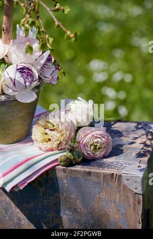 Erbringung und Verkauf von Frühlingsblumen Foto Stock