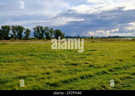 Atmosfera leggera in serata a Zarrenzin con vista sull'isola di Bock nel Parco Nazionale Vorpommersche Boddenlandschaft, Meclemburgo-Vorpommern, Germania Foto Stock