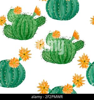 Acquerello disegno mano senza giunture modello di succulenti tropicali di cactus messicani. Verde piante naturali in pentole illsutrazione botanica stampa decorazione di interior design per carta da parati tessile Foto Stock