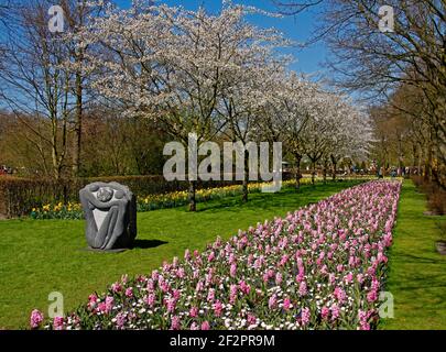 Tulipano, narcisi e fiori di giacinto, impeto di visitatori, primavera, primavera, fiori di primavera, Keukenhof, Lisse, Paesi Bassi Foto Stock