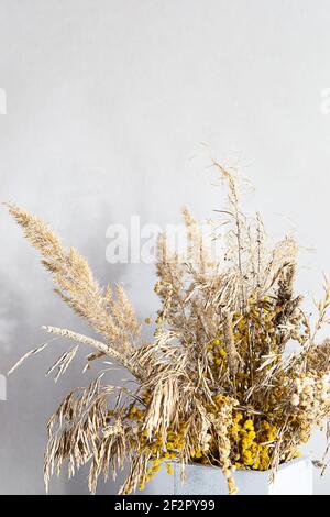 Pampas erba in un vaso geometrico di cemento. Una vita still minima con pikelets a secco su uno sfondo chiaro. L'arredamento di un moderno, eco-friendly, c Foto Stock